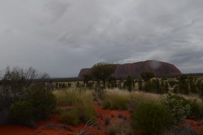 DSC_0793.JPG
