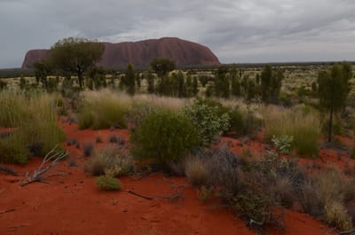 DSC_0794.JPG