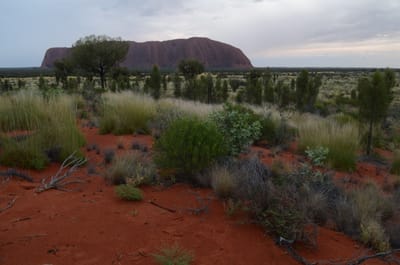 DSC_0804.JPG