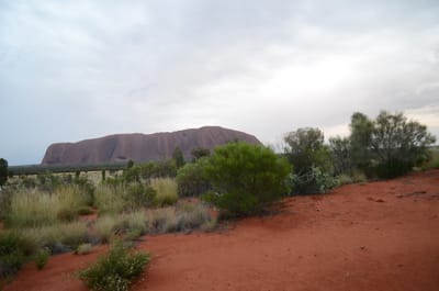 DSC_0806.JPG