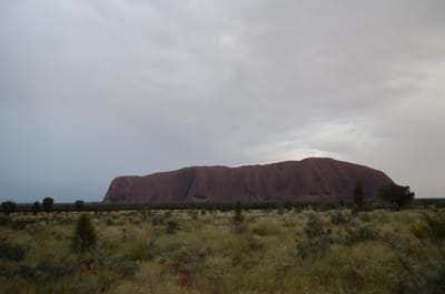 DSC_0808.JPG