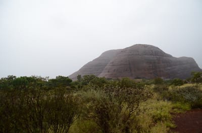 DSC_0820.JPG