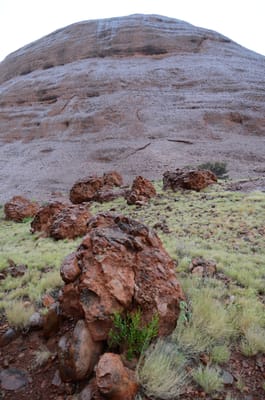 DSC_0824.JPG
