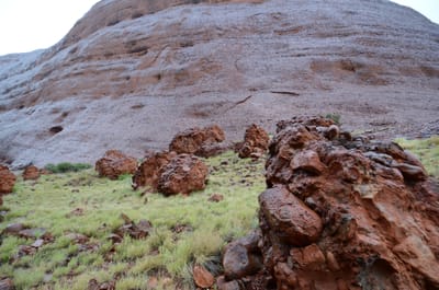 DSC_0825.JPG