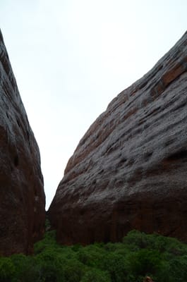 DSC_0834.JPG