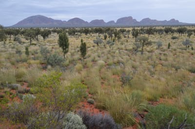 DSC_0856.JPG