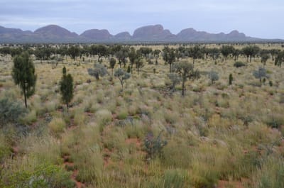 DSC_0859.JPG