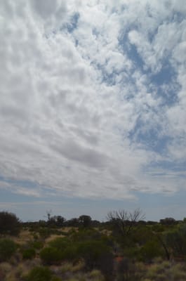 DSC_0875.JPG