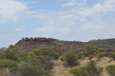 DSC_0876.JPG