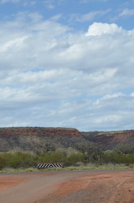 DSC_0902.JPG