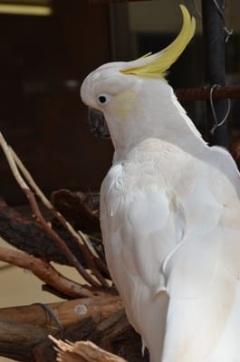 DSC_0911.JPG
