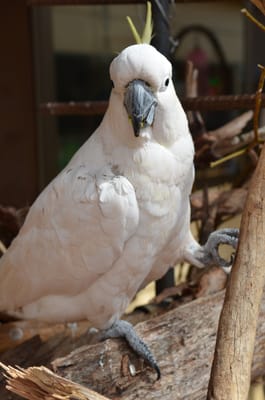 DSC_0914.JPG