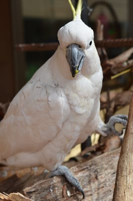 DSC_0915.JPG