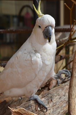 DSC_0916.JPG