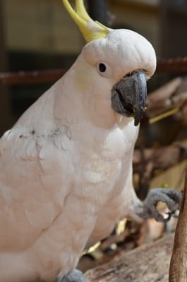 DSC_0917.JPG