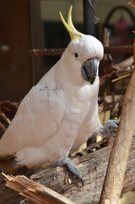 DSC_0919.JPG