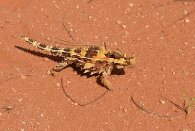 DSC_0944.JPG