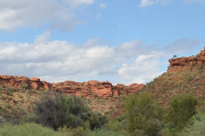DSC_0953.JPG