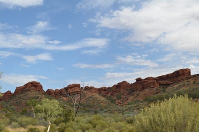 DSC_0955.JPG