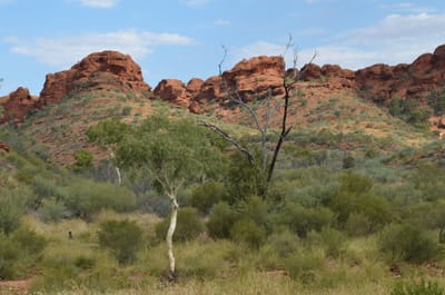 DSC_0959.JPG