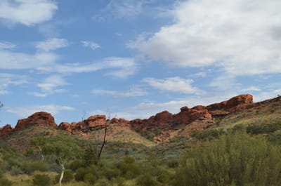DSC_0960.JPG