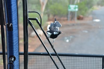 DSC_0962.JPG