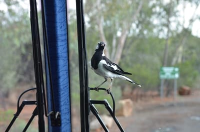DSC_0963.JPG
