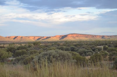 DSC_0969.JPG