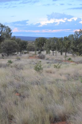 DSC_0971.JPG