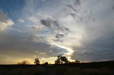 DSC_0974.JPG