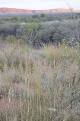 DSC_0977.JPG