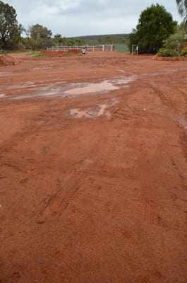 DSC_1003.JPG