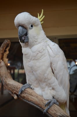 DSC_1004.JPG