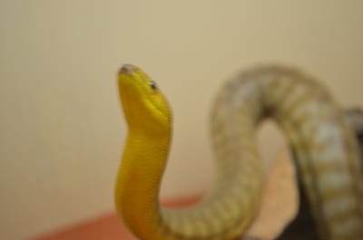 DSC_1074.JPG