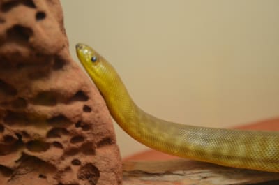 DSC_1075.JPG