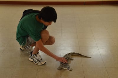 DSC_1086.JPG
