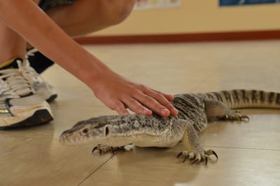 DSC_1087.JPG