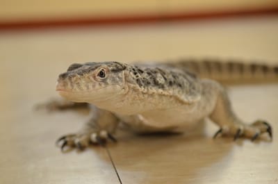 DSC_1089.JPG