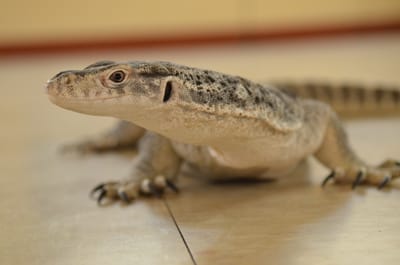 DSC_1090.JPG