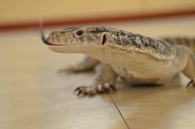 DSC_1091.JPG