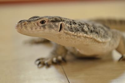 DSC_1092.JPG