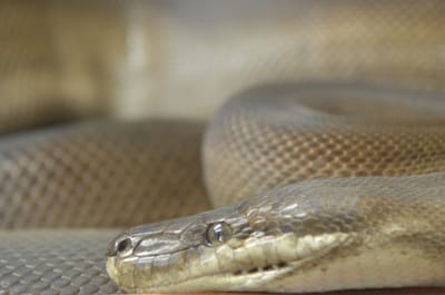 DSC_1094.JPG