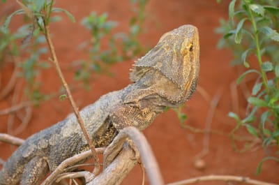 DSC_1108.JPG