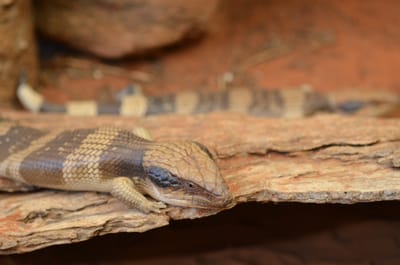 DSC_1110.JPG