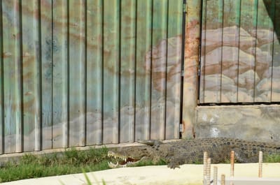 DSC_1120.JPG