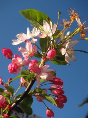 IMG_8351.JPG