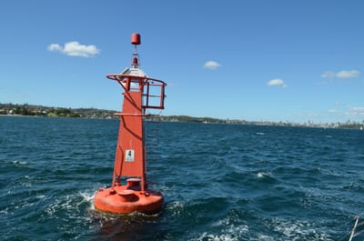 DSC_1146.JPG