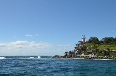 DSC_1147.JPG
