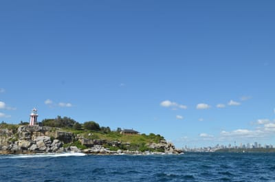DSC_1150.JPG