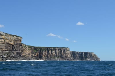 DSC_1152.JPG